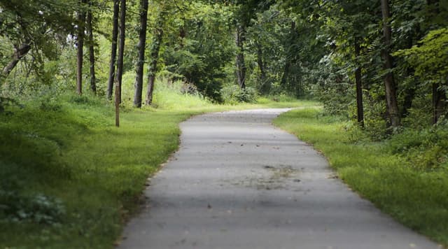 Livre Arbítrio e Responsabilidade Humana